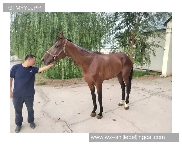 运动新闻巴伦西与马竟激战正酣谁能在这场对决中笑到最后