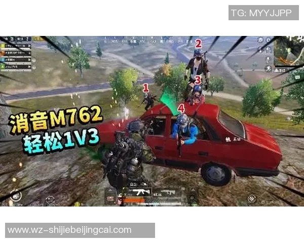 世界杯新闻对话王芳：探索和平精英职业生涯背后的故事与挑战